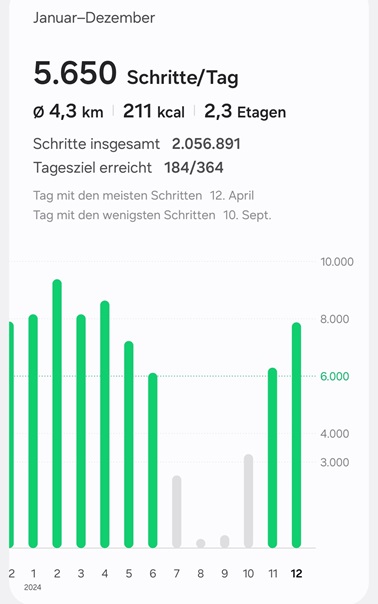 Meine Schritte-Bilanz in 2024